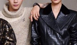 刘雯和陈伟霆最新爆料,揭秘娱乐圈背后的惊人真相！