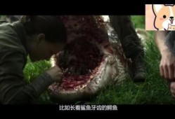 女子敢死队爆料视频,惊心动魄的幕后故事