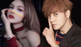 娱乐圈塌房吃瓜小说,揭秘明星塌房背后的真相与瓜料